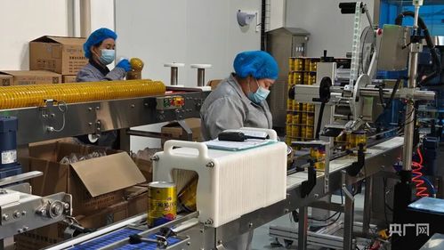 科技創新驅動產業升級 探索阜康市網絡科技領域的雙輪驅動綠色發展路徑